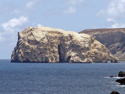 Wonders of Ascension Island | Wondermondo