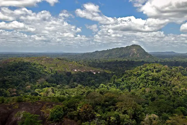 Wonders of Suriname | Wondermondo