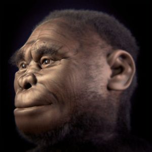 Liang Bua - the cave of the mysterious Homo floresiensis | Wondermondo