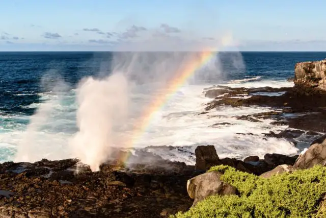 Wonders of the Galapagos Islands | Wondermondo