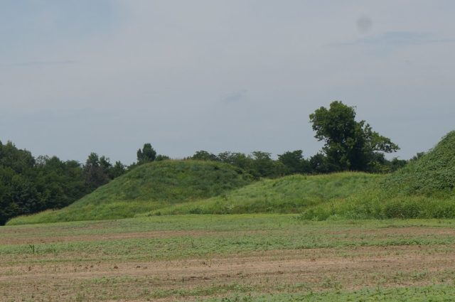 Kincaid Mounds | Wondermondo